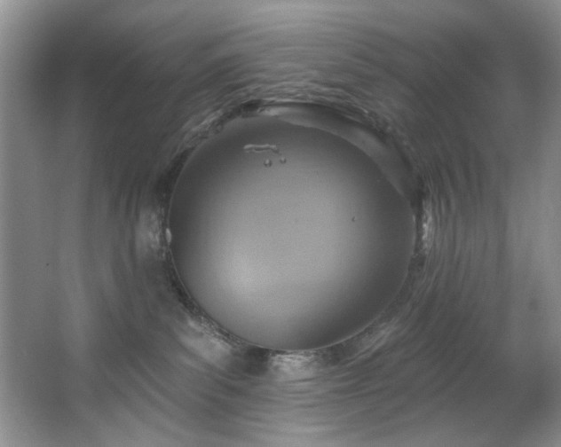 X0000067470139200604071204