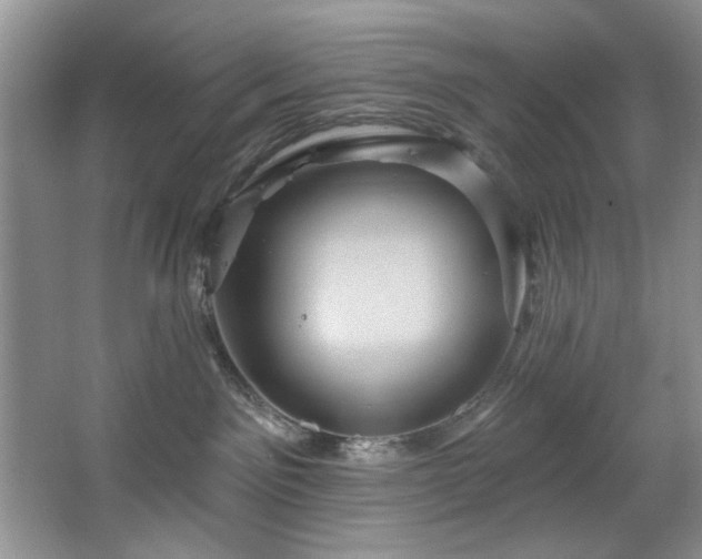 X0000067470141200604071204