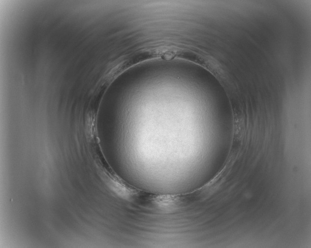 X0000067470142200604071204