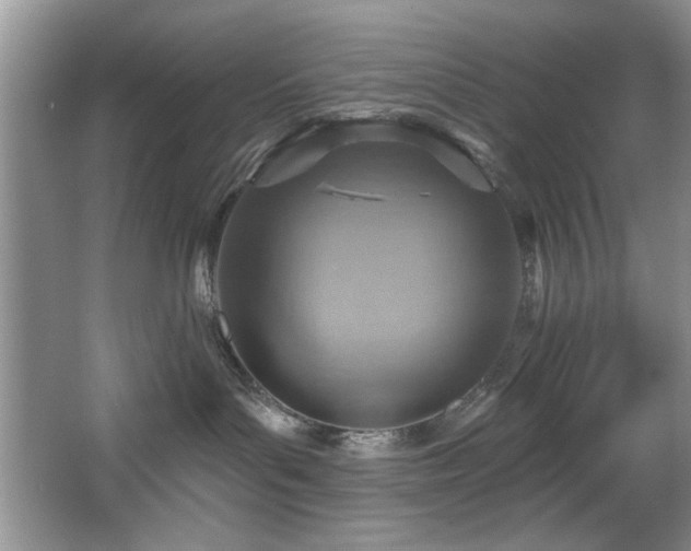 X0000067470143200604071204