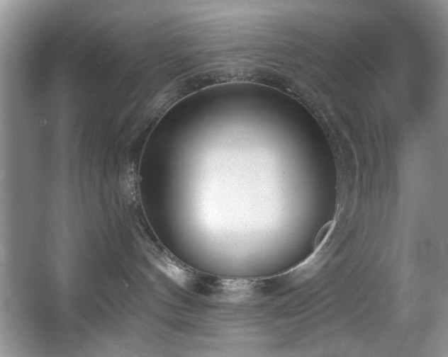 X0000067470144200604071204