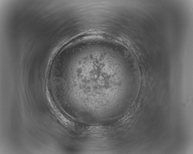 X0000067470145200604071203