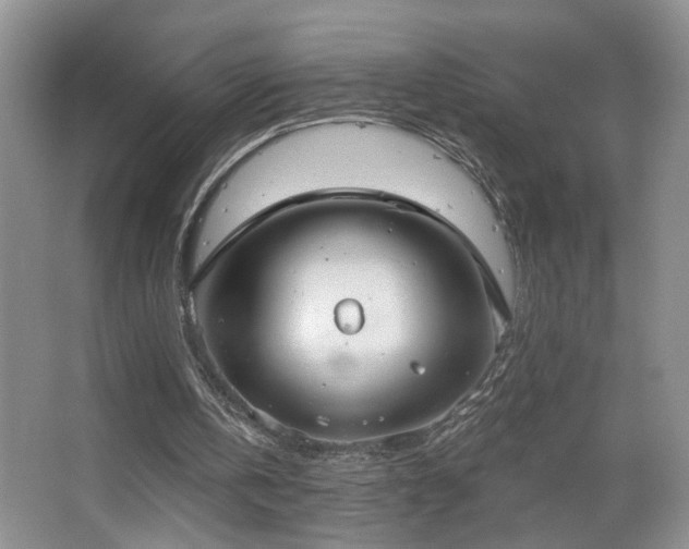 X0000067470146200604071203