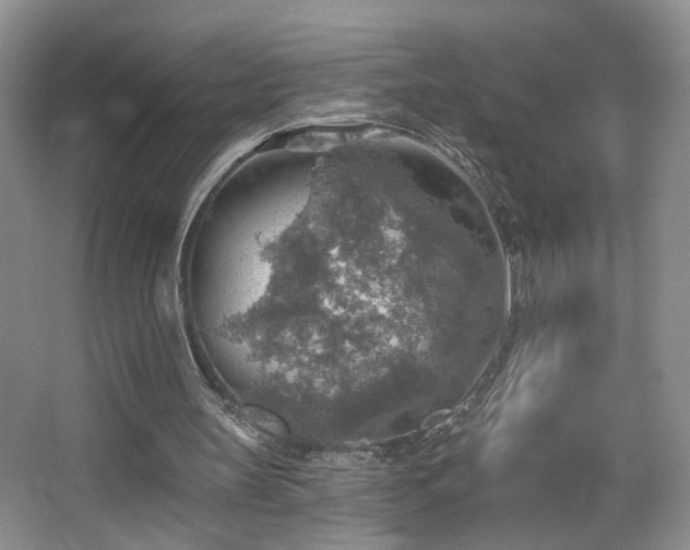 X0000067470147200604071203