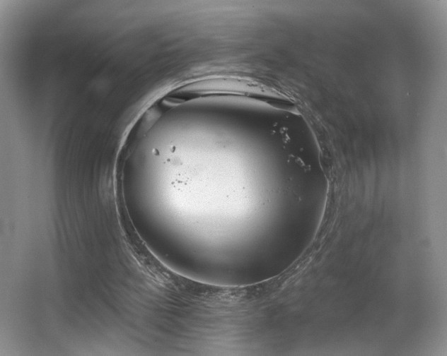 X0000067470148200604071203