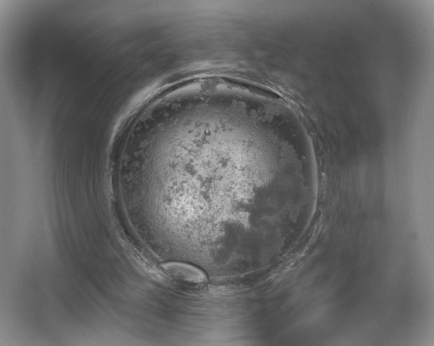 X0000067470149200604071203