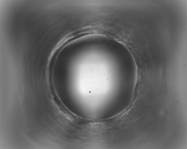 X0000067470150200604071203