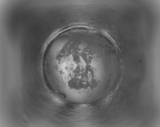 X0000067470151200604071203