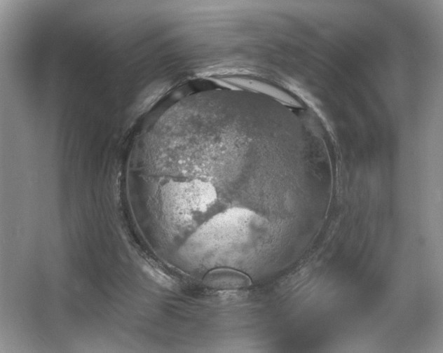 X0000067470153200604071203