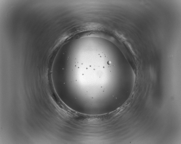 X0000067470154200604071203