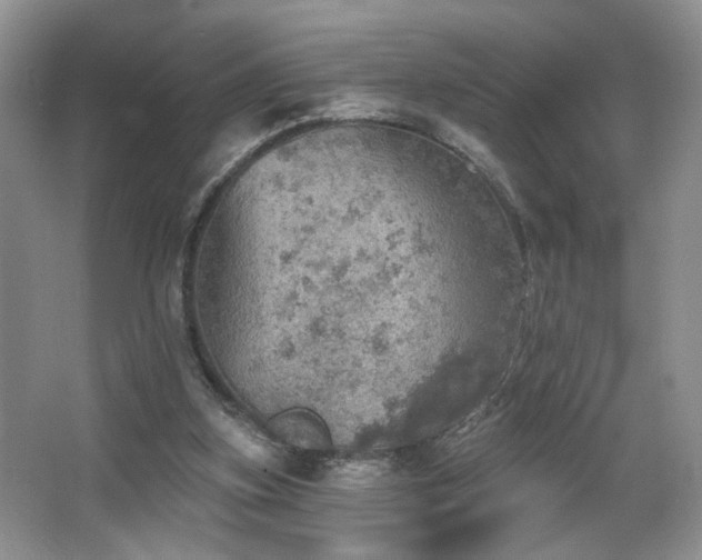 X0000067470155200604071203