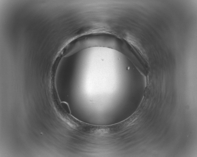 X0000067470156200604071203