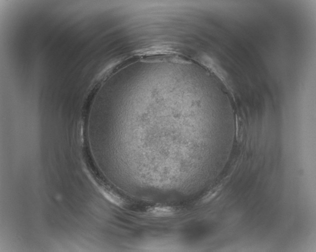 X0000067470157200604071203