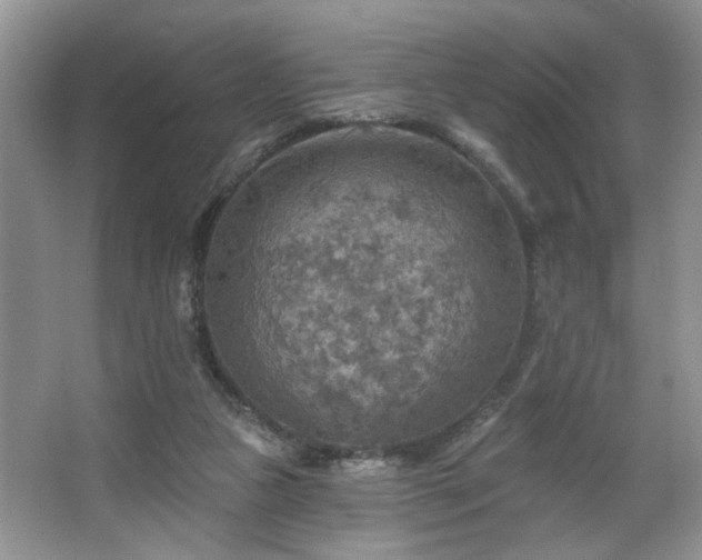 X0000067470161200604071203