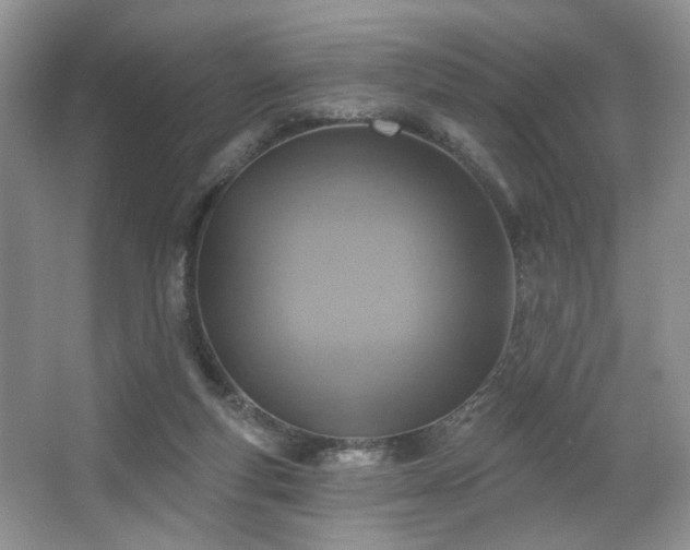 X0000067470163200604071203