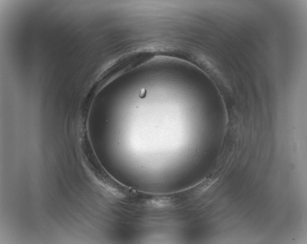 X0000067470164200604071203