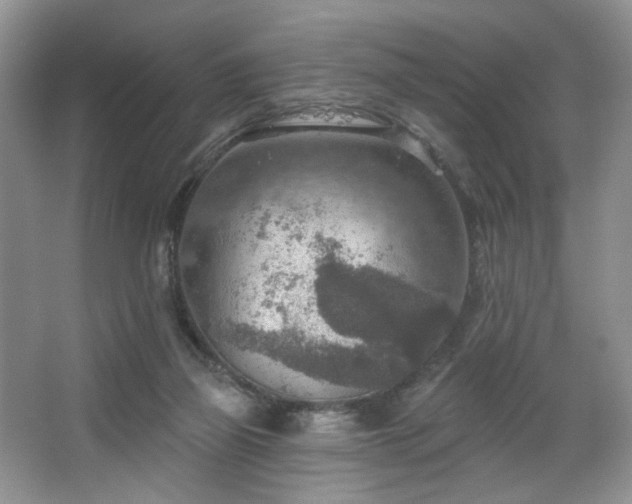 X0000067470165200604071203