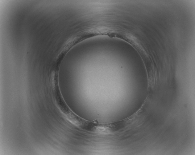 X0000067470167200604071203