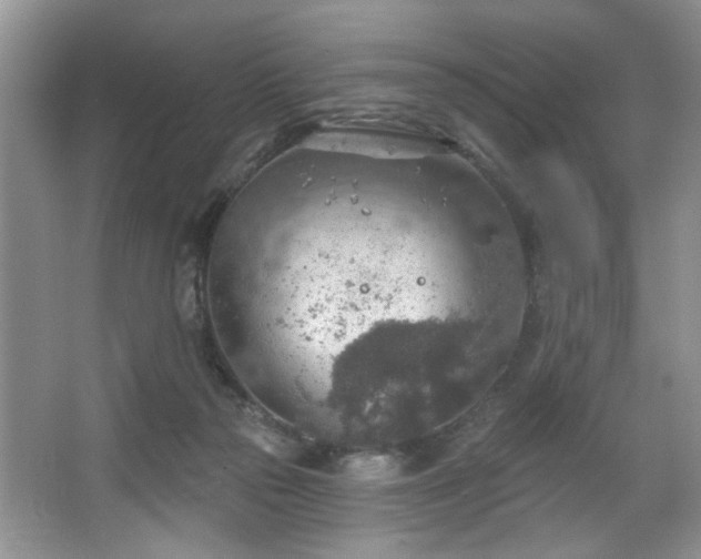 X0000067470169200604071203