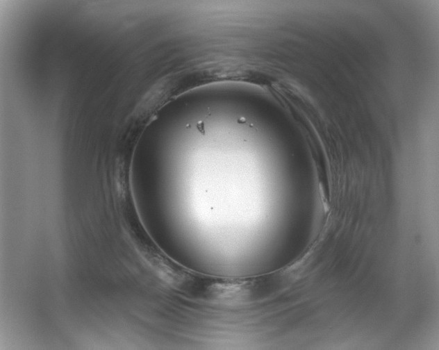 X0000067470170200604071203