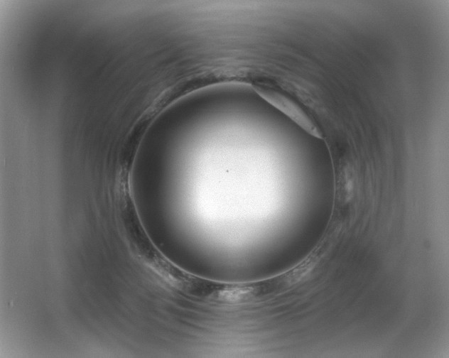 X0000067470172200604071203