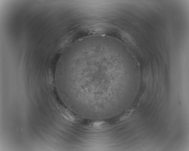 X0000067470173200604071203