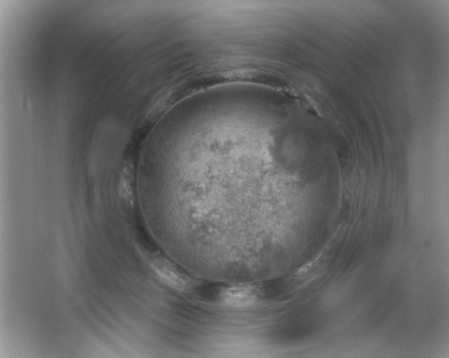 X0000067470175200604071203