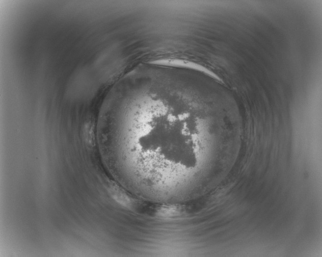 X0000067470177200604071203