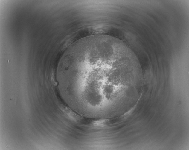 X0000067470178200604071203