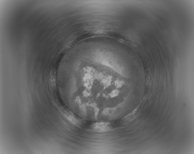 X0000067470179200604071203