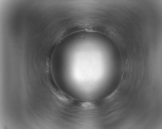 X0000067470183200604071203