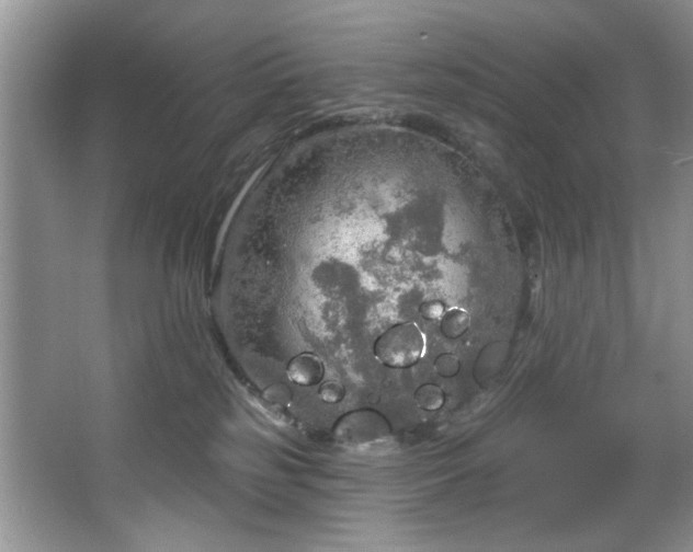 X0000067470185200604071204