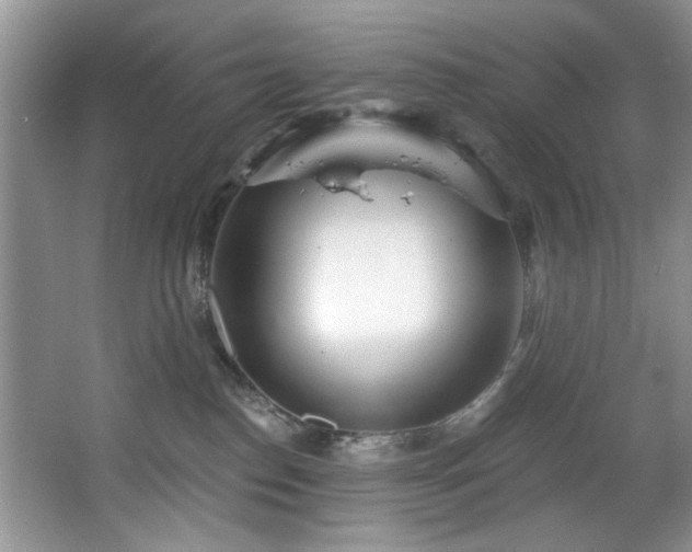 X0000067470186200604071204