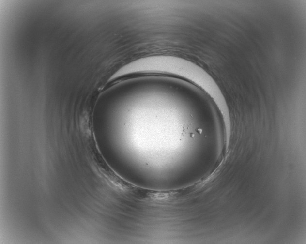 X0000067470187200604071204