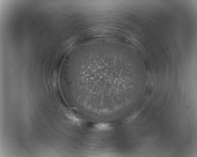 X0000067470189200604071204