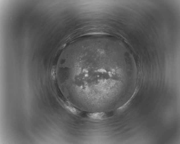 X0000067470191200604071204