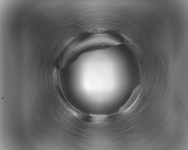 X0000067470192200604071204