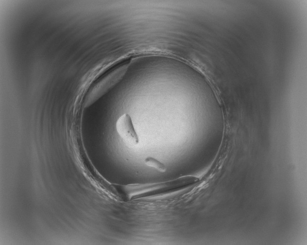 X0000067470193200604071203