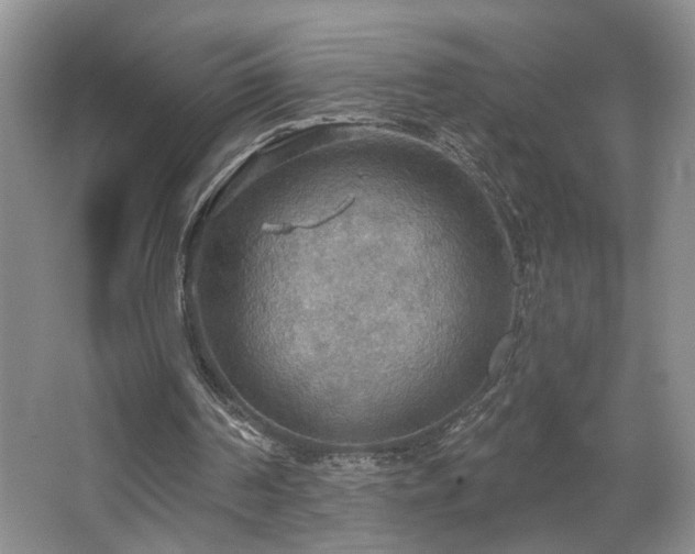 X0000067470194200604071203