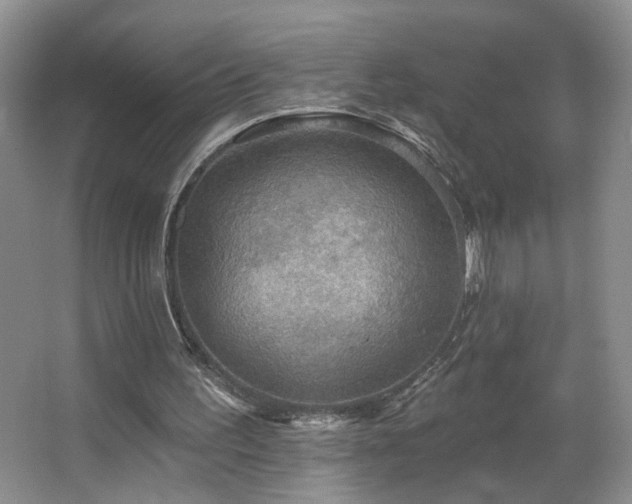 X0000067470195200604071203