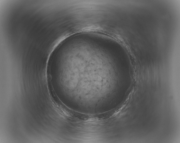 X0000067470196200604071203