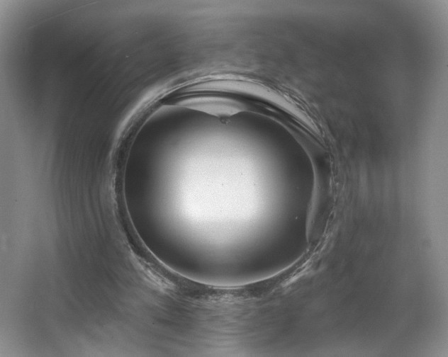 X0000067470197200604071203