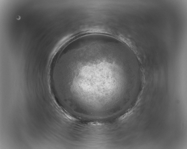 X0000067470199200604071203