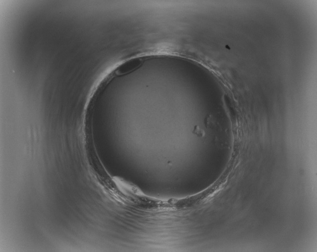 X0000067470200200604071203