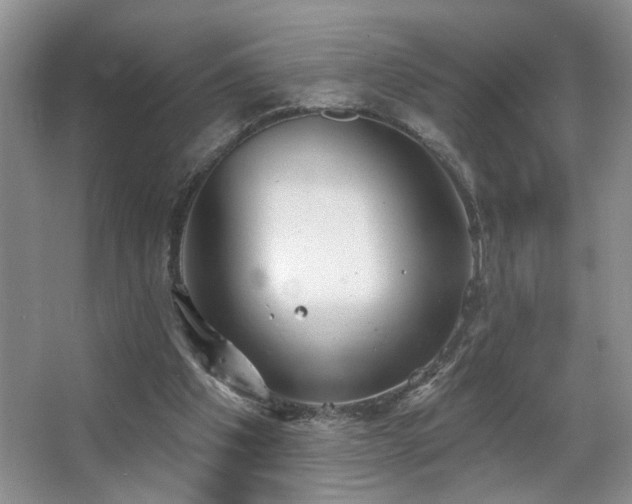 X0000067470201200604071203