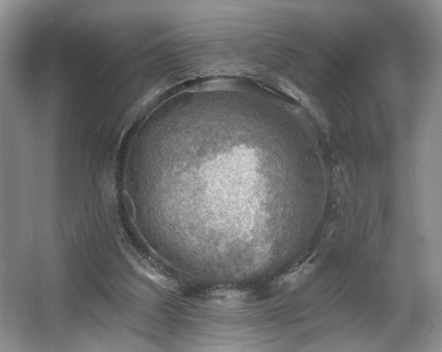 X0000067470203200604071203