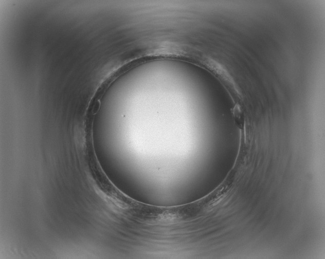 X0000067470204200604071203