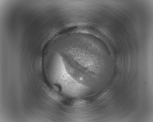 X0000067470206200604071203