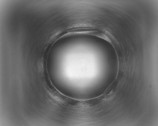 X0000067470207200604071203