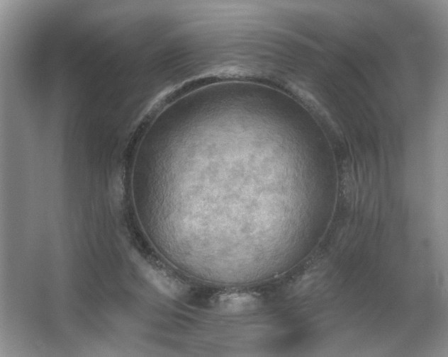 X0000067470208200604071203